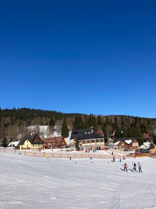 bdc37817-11e8-43d2-a5f6-ab7e0bfc4ba9